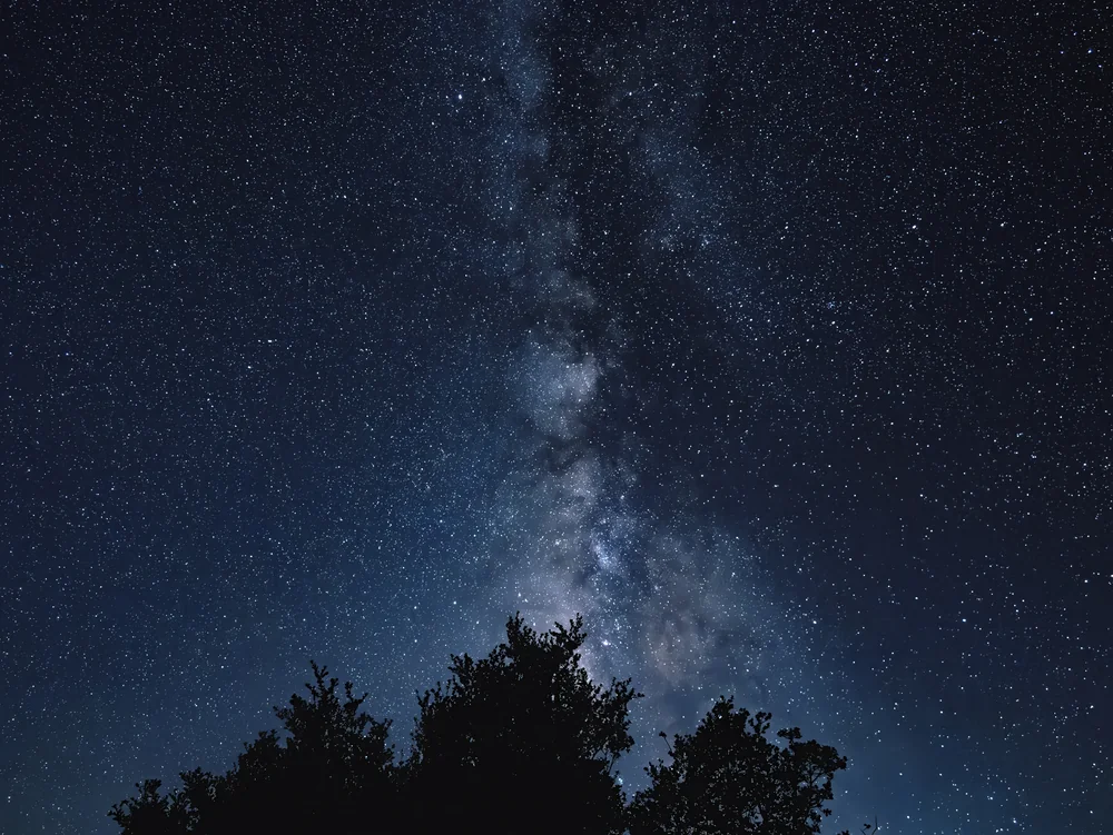 树梢上的星空